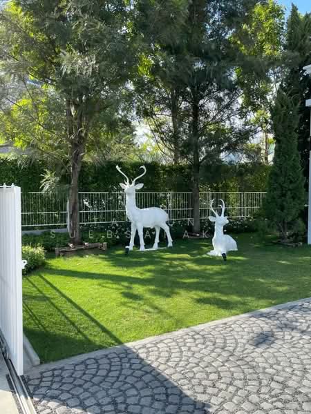 undefined, กรุงเทพ, ดอกไม้, ประเวศ, กรุงเทพ, 141 ตร.ม., บ้านเดี่ยว ขาย, โดย Tayfun Suebsarakham , 500246233 - DDproperty.com