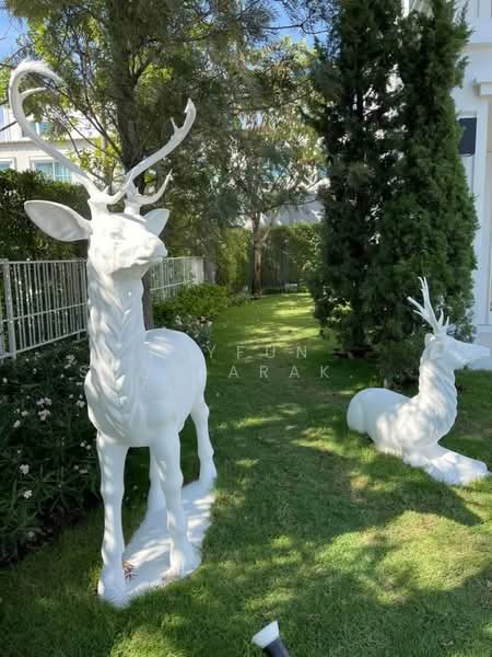 undefined, Bangkok, Dok Mai, Prawet, Bangkok, 2 Bedrooms, 141 sqm, Single Detached House For Sale, by Tayfun  Suebsarakham , 500246233 - DDproperty.com