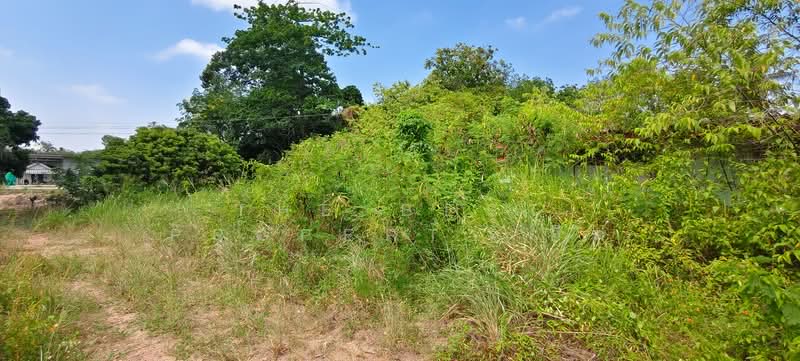 ที่ดินพร้อมสิ่งปลูกสร้างน้ำคอก ระยอง, Rayong, Nam Khok, Muang Rayong, Rayong, , 1,020 sqm, Land For Sale, by The Best Property อีฟ, 500246252 - DDproperty.com