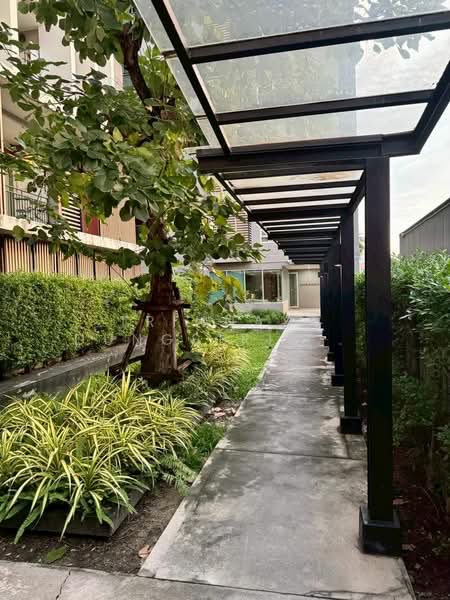 CHAMBERS รามอินทรา (แชมเบอร์ส รามอินทรา), กรุงเทพ, 66 Ratchada-Ramintra, คันนายาว, คันนายาว, กรุงเทพ, 83 ตร.ม., คอนโด ขาย, โดย Trinnaya Dungsirisangthong, 500246383 - DDproperty.com