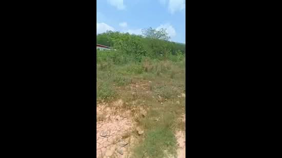 ที่ดิน41-369ไร่ อ.เมือง l ใกล้ถนนสุขุมวิท(เดินทางเชื่อมต่อไปตัวเมืองระยองสะดวก), Rayong, Ka Chet, Muang Rayong, Rayong, , 67,076 sqm, Land For Sale, by Jurairat Tantirattanawat, 500246386 - DDproperty.com