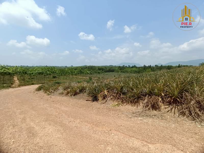 ขาย - ที่ดิน41-369ไร่ อ.เมือง l ใกล้ถนนสุขุมวิท(เดินทางเชื่อมต่อไปตัวเมืองระยองสะดวก), ระยอง