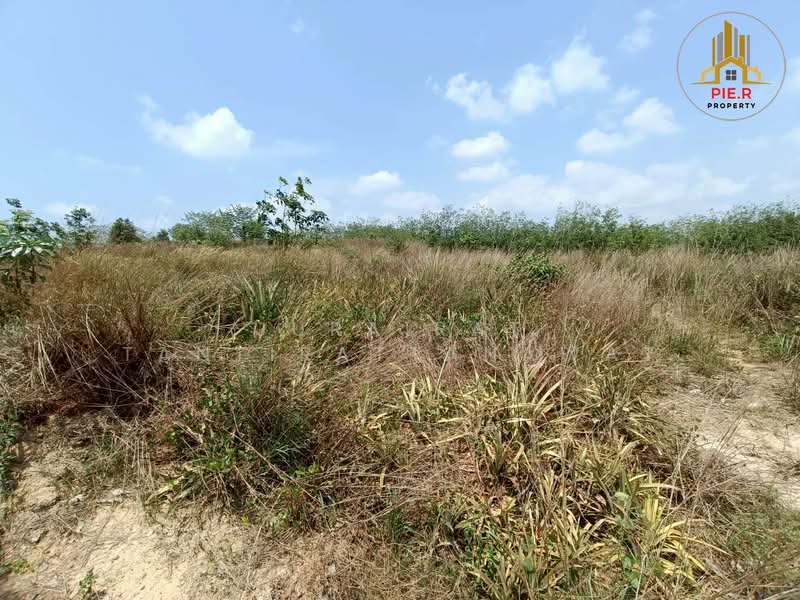 ขาย - ที่ดิน41-369ไร่ อ.เมือง l ใกล้ถนนสุขุมวิท(เดินทางเชื่อมต่อไปตัวเมืองระยองสะดวก), ระยอง