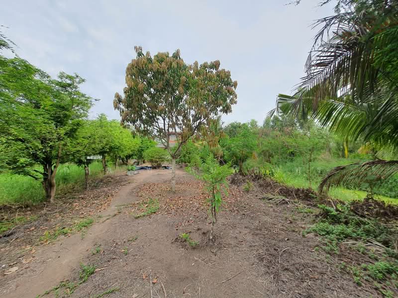 สามโคก, Pathum Thani, เทศบาล 6, Bang Pho Nua, Sam Khok, Pathum Thani, , 3,772 sqm, Land For Sale, by กฤต พรหมหิตาทร, 500246409 - DDproperty.com