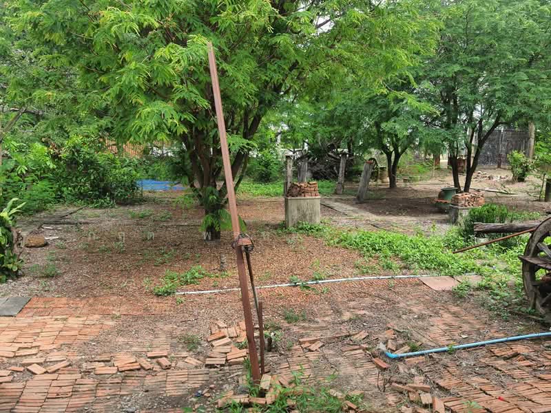 สามโคก, Pathum Thani, เทศบาล 6, Bang Pho Nua, Sam Khok, Pathum Thani, , 3,772 sqm, Land For Sale, by กฤต พรหมหิตาทร, 500246409 - DDproperty.com