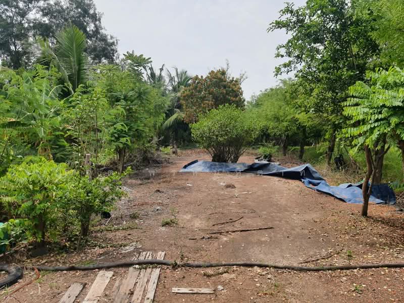 สามโคก, ปทุมธานี, เทศบาล 6, บางโพธิ์เหนือ, สามโคก, ปทุมธานี, 3,772 ตร.ม., ที่ดิน ขาย, โดย กฤต พรหมหิตาทร, 500246409 - DDproperty.com