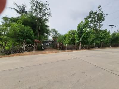 ขาย - สามโคก, ปทุมธานี
