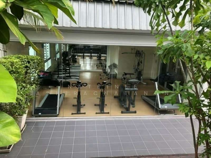 Plus 67, Bangkok, Soi Sukhumvit 67, Phra Kanong Nua, Watthana, Bangkok, 1 Bedroom, 48 sqm, Condo For Rent, by Natrinee Aphirachatanon, 500246594 - DDproperty.com