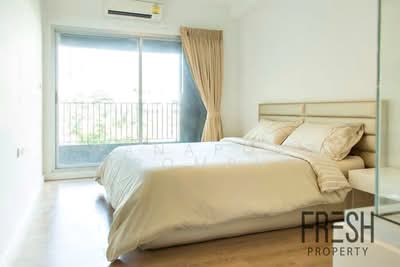 ขาย - The Seed Musee : เดอะ ซี้ด มูซี่, กรุงเทพ