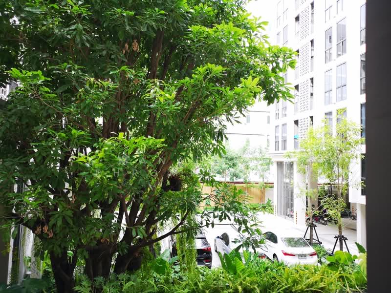 Chambers On-Nut Station, Bangkok, Soi Sukhumvit 81, Sukhumvit Road, Phra Kanong Nua, Watthana, Bangkok, 1 Bedroom, 27 sqm, Condo For Rent, by Manapong Phromphitak, 500246654 - DDproperty.com