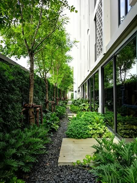 Chambers On-Nut Station, Bangkok, Soi Sukhumvit 81, Sukhumvit Road, Phra Kanong Nua, Watthana, Bangkok, 1 Bedroom, 27 sqm, Condo For Rent, by Manapong Phromphitak, 500246654 - DDproperty.com