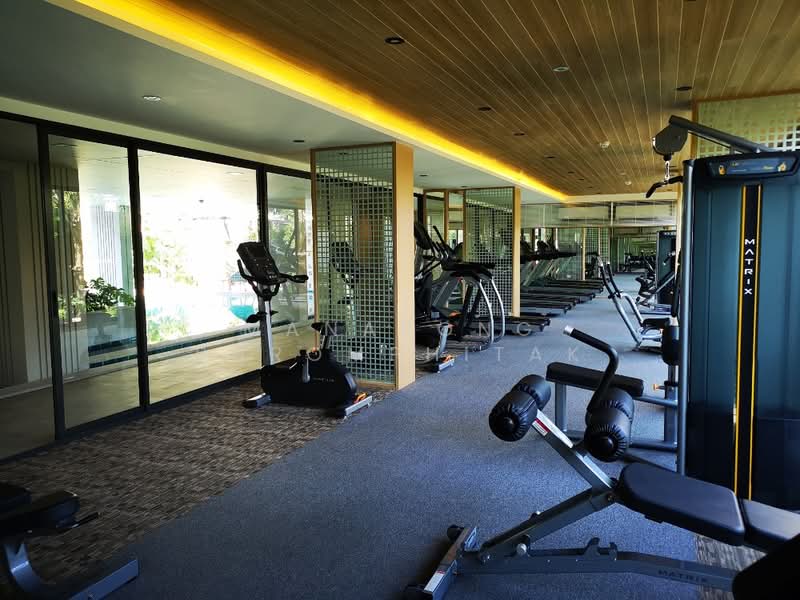 Chambers On-Nut Station, Bangkok, Soi Sukhumvit 81, Sukhumvit Road, Phra Kanong Nua, Watthana, Bangkok, 1 Bedroom, 27 sqm, Condo For Rent, by Manapong Phromphitak, 500246654 - DDproperty.com