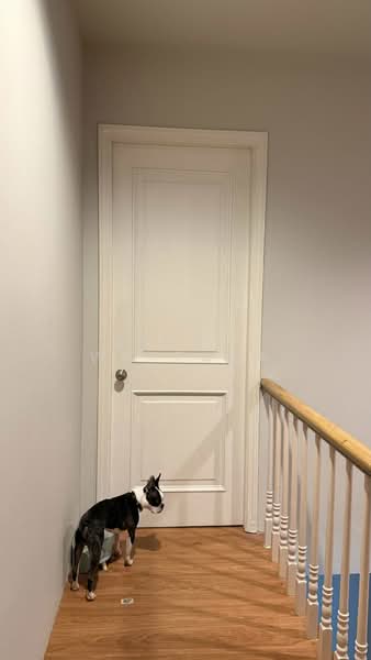 Plus City Park Ekamai-Ramintra, Bangkok, Nuanchan Road, Nuan Chan, Bueng Kum, Bangkok, 3 Bedrooms, 94 sqm, Townhouse For Rent, by Vinai Wattana, 500246789 - DDproperty.com