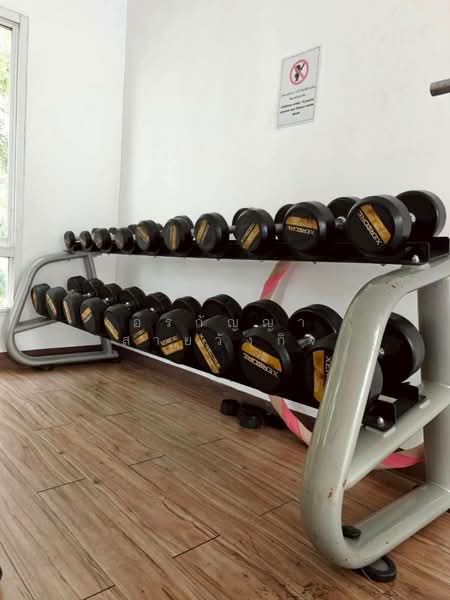 PromT Condo, Chiang Mai, Chet Yot Road, Chang Phuak, Muang Chiang Mai, Chiang Mai, 1 Bedroom, 34 sqm, Condo For Sale, by อรกัญญา สายวังกิจ, 500246833 - DDproperty.com