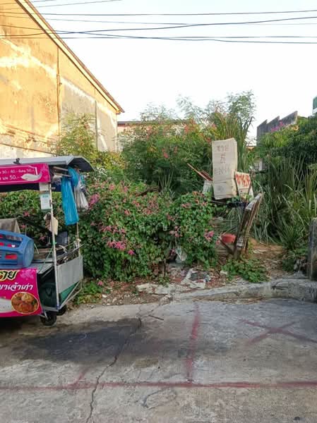 ม.สุขสันต์ 6, กรุงเทพ, หลักสอง, บางแค, กรุงเทพ, 128 ตร.ม., ที่ดิน ขาย, โดย วิศิษฏ์ ศรีประเสริฐ, 500246848 - DDproperty.com