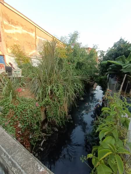 ม.สุขสันต์ 6, Bangkok, Lak Song, Bang Khae, Bangkok, , 128 sqm, Land For Sale, by WISIT SRIPRASERT, 500246848 - DDproperty.com