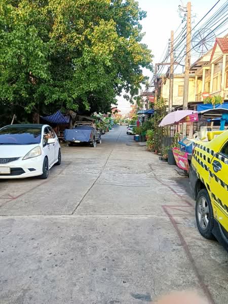 ม.สุขสันต์ 6, กรุงเทพ, หลักสอง, บางแค, กรุงเทพ, 128 ตร.ม., ที่ดิน ขาย, โดย วิศิษฏ์ ศรีประเสริฐ, 500246848 - DDproperty.com