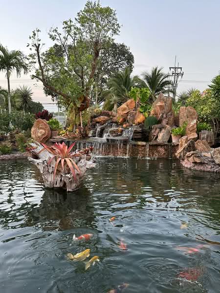 undefined, Prachuap Khiri Khan, Thap Tai, Hua Hin, Prachuap Khiri Khan, 6 Bedrooms, 1,275 sqm, Villa For Sale, by Netsakaw Thongsritep, 500246898 - DDproperty.com