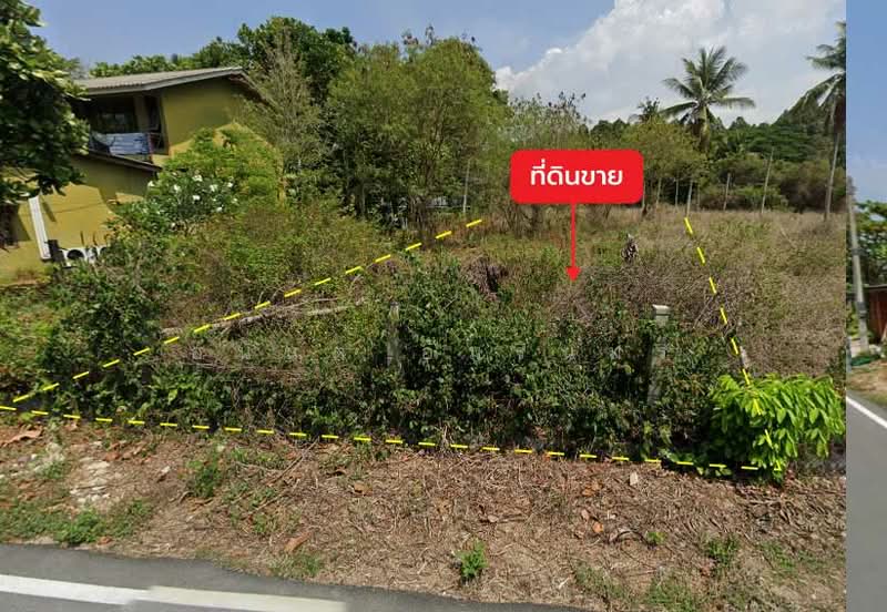 Land for sale 1 rai 0 ngan 60.2 sq.wah next to Soi Mai Khao 7 near Mai Khao Beach, Phuket, Mai Khao, Thalang, Phuket, , 1,840 sqm, Land For Sale, by อนันต์ อัมรินทร์, 500246921 - DDproperty.com