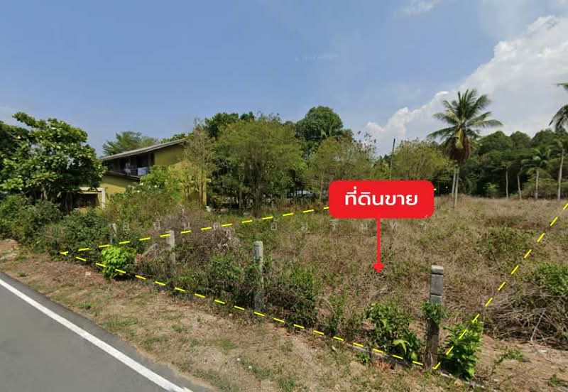Land for sale 1 rai 0 ngan 60.2 sq.wah next to Soi Mai Khao 7 near Mai Khao Beach, Phuket, Mai Khao, Thalang, Phuket, , 1,840 sqm, Land For Sale, by อนันต์ อัมรินทร์, 500246921 - DDproperty.com