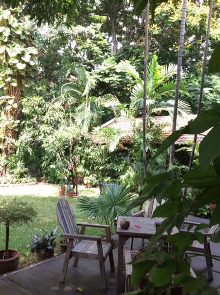 3-BR House, Bangkok, Bang Chak, Phra Khanong, Bangkok, 3 Bedrooms, 300 sqm, Single Detached House For Rent, by Vinai Wattana, 500246953 - DDproperty.com