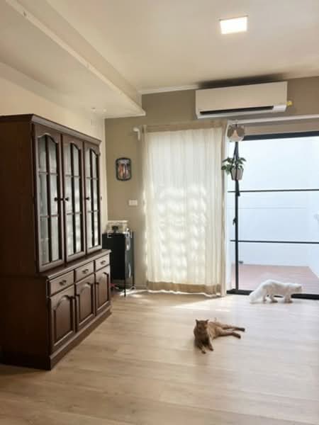 Villaggio 3 Srinakarin-Bangna : วิลลาจจิโอ 3 ศรีนครินทร์-บางนา, สมุทรปราการ, บางแก้ว, บางพลี, สมุทรปราการ, 150 ตร.ม., ทาวน์เฮ้าส์ ให้เช่า, โดย Seng .PL, 500247006 - DDproperty.com
