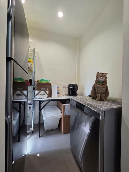 Estara Haven Pattanakan 20, Bangkok, Phatthanakan 20, Phatthanakan Road, Suan Luang, Suan Luang, Bangkok, 3 Bedrooms, 220 sqm, Townhouse For Rent, by Sunitra Sachdev, 500247076 - DDproperty.com