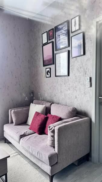 XT Ekkamai, Bangkok, 259 Soi Sukhumvit 63, Khlong Tan Nua, Watthana, Bangkok, 1 Bedroom, 30 sqm, Condo For Rent, by Natrinee Aphirachatanon, 500247213 - DDproperty.com