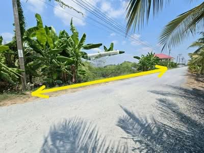 ขาย - ที่ดินเปล่า 378 ตร.ว. ที่ดิน ซอยฉลองกรุง8 ซอยทองปลั่ง ถนนสารีบุตร, กรุงเทพ