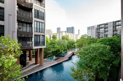 ขาย - Kawa Haus : คาวะ เฮาส์, กรุงเทพ