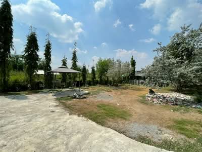 ขาย - ที่ดินเปล่า 100 ตร.ว. ที่ดิน ซอยรังสิต-นครนายก27, ปทุมธานี