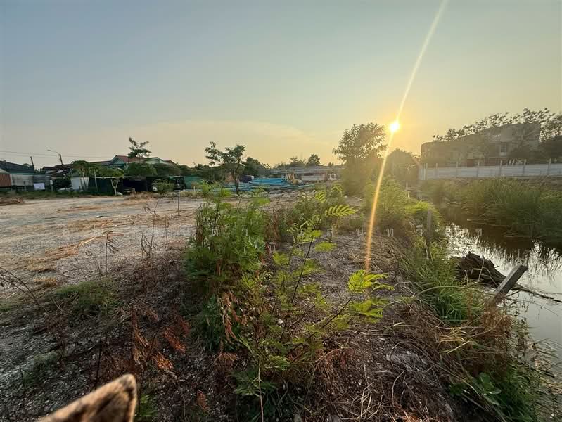 ที่ดินเปล่า 181 ตร.ว. ที่ดิน ซอยอ่อนนุช70/1 แยก2-4, กรุงเทพ, ถนนอ่อนนุช70/1, บางจาก, พระโขนง, กรุงเทพ, 724 ตร.ม., ที่ดิน ขาย, โดย คุณ วนิดา แสนทวีสุข (นิ), 500247434 - DDproperty.com