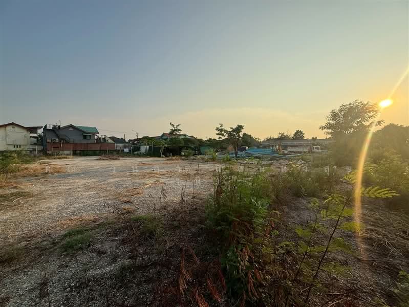 ที่ดินเปล่า 181 ตร.ว. ที่ดิน ซอยอ่อนนุช70/1 แยก2-4, กรุงเทพ, ถนนอ่อนนุช70/1, บางจาก, พระโขนง, กรุงเทพ, 724 ตร.ม., ที่ดิน ขาย, โดย คุณ วนิดา แสนทวีสุข (นิ), 500247434 - DDproperty.com