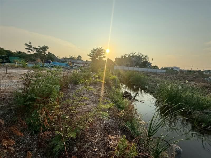 ที่ดินเปล่า 181 ตร.ว. ที่ดิน ซอยอ่อนนุช70/1 แยก2-4, Bangkok, ถนนอ่อนนุช70/1, Bang Chak, Phra Khanong, Bangkok, , 724 sqm, Land For Sale, by คุณ วนิดา แสนทวีสุข (นิ), 500247434 - DDproperty.com