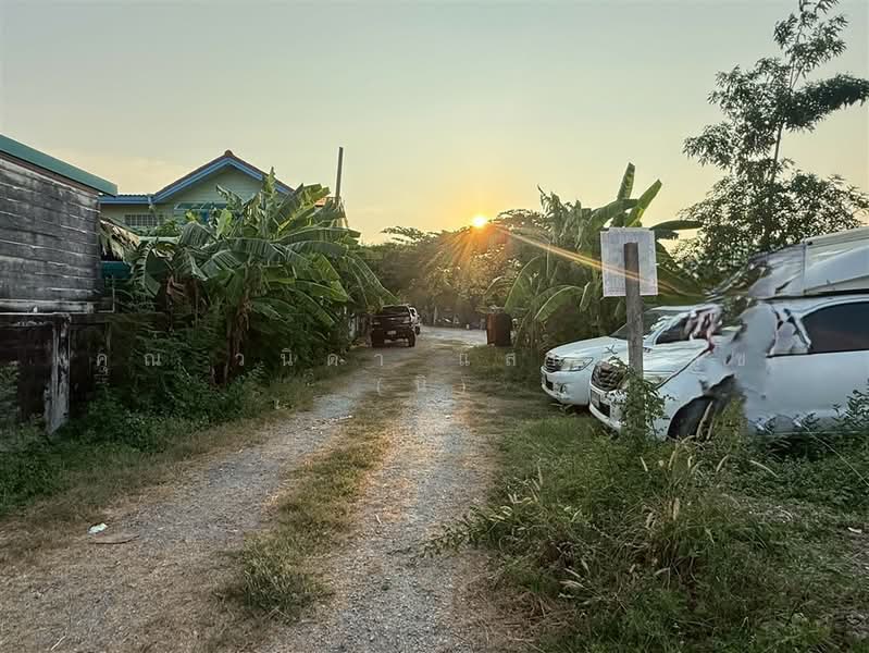 ที่ดินเปล่า 181 ตร.ว. ที่ดิน ซอยอ่อนนุช70/1 แยก2-4, กรุงเทพ, ถนนอ่อนนุช70/1, บางจาก, พระโขนง, กรุงเทพ, 724 ตร.ม., ที่ดิน ขาย, โดย คุณ วนิดา แสนทวีสุข (นิ), 500247434 - DDproperty.com
