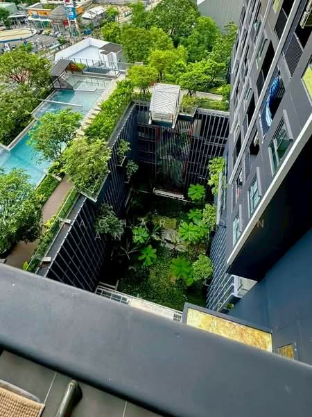 IDEO Sukhumvit Rama 4, Bangkok, Soi Sukhumvit 44, Sukhumvit Road, Phra Kanong, Khlong Toei, Bangkok, 1 Bedroom, 35 sqm, Condo For Rent, by Phacharakorn Anusiri, 500247435 - DDproperty.com