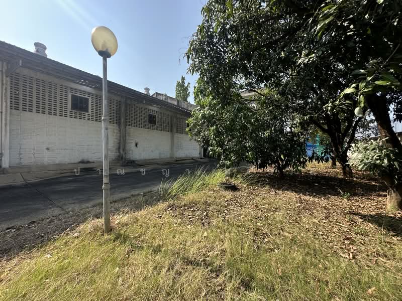 ขายที่ดินโรงงาน อาคารสำนักงาน พื้นที่ 1-3-95 ไร่ ซอยเพชรเกษม 41 ตำบลบางแค เขตภาษีเจริญ กทม., กรุงเทพ, ปากคลองภาษีเจริญ, ภาษีเจริญ, กรุงเทพ, 1,500 ตร.ม., โกดัง-โรงงาน ขาย, โดย ปาณชญา ศรีนวล, 500247471 - DDproperty.com