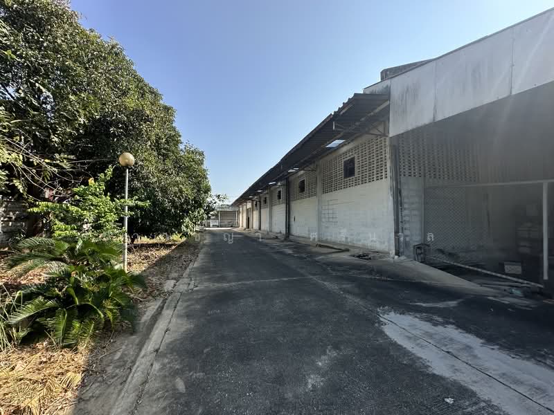 ขายที่ดินโรงงาน อาคารสำนักงาน พื้นที่ 1-3-95 ไร่ ซอยเพชรเกษม 41 ตำบลบางแค เขตภาษีเจริญ กทม., Bangkok, Pak Khlong Phasi Charoen, Phasi Charoen, Bangkok, , 1,500 sqm, Warehouse/Factory For Sale, by ปาณชญา ศรีนวล, 500247471 - DDproperty.com