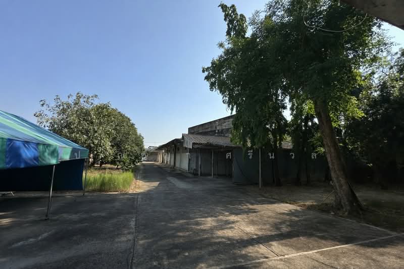 ขายที่ดินโรงงาน อาคารสำนักงาน พื้นที่ 1-3-95 ไร่ ซอยเพชรเกษม 41 ตำบลบางแค เขตภาษีเจริญ กทม., กรุงเทพ, ปากคลองภาษีเจริญ, ภาษีเจริญ, กรุงเทพ, 1,500 ตร.ม., โกดัง-โรงงาน ขาย, โดย ปาณชญา ศรีนวล, 500247471 - DDproperty.com