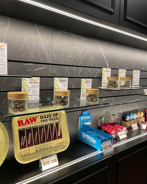 บ้าน 1-ห้องนอน, กรุงเทพ, คลองเตย, คลองเตย, กรุงเทพ, 250 ตร.ม., บ้านเดี่ยว ให้เช่า, โดย Sarunyarat Sutthiapiwat, 500247569 - DDproperty.com