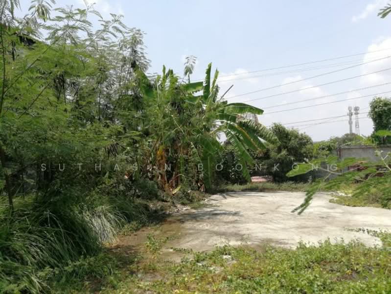 undefined, Bangkok, Sam Wa Tawan Tok, Khlong Sam Wa, Bangkok, 3 Bedrooms, 300 sqm, Single Detached House For Sale, by Suthasin Boonkong, 500247820 - DDproperty.com