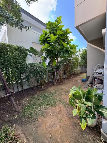 Centro Ratchapruek 2, Nonthaburi, Bang Kruai - Sai Noi Road, Bang Krang, Muang Nonthaburi, Nonthaburi, 4 Bedrooms, 190 sqm, Single Detached House For Sale, by Paphada Rattanaburi, 500247897 - DDproperty.com