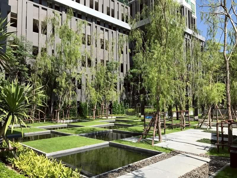 Rhythm Sukhumvit 36-38, Bangkok, 55 Soi Sukhumvit 36, Sukhumvit Road, Phra Kanong, Khlong Toei, Bangkok, 2 Bedrooms, 60 sqm, Condo For Rent, by Pattarasaya Sripirom, 500248115 - DDproperty.com