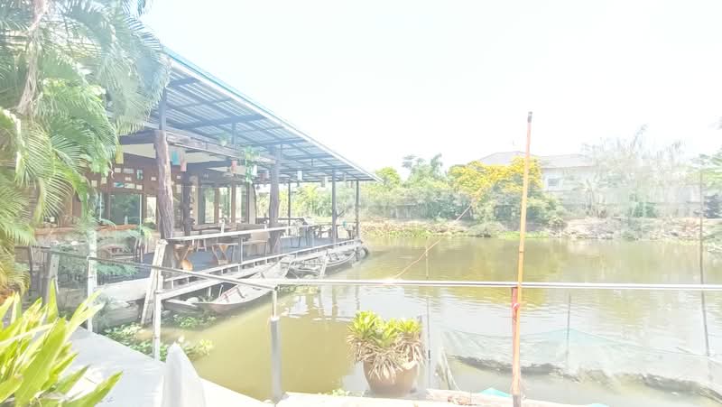 20150, ชลบุรี, เทศบาล, บางละมุง, บางละมุง, ชลบุรี, 6,000 ตร.ม., วิลล่า ขาย, โดย แสงเดือน คงแนวดี, 500248261 - DDproperty.com