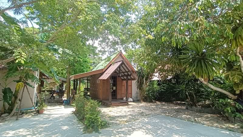 Land and 12 house Pattaya, Chon Buri (Pattaya), เทศบาล, Bang Lamung, Bang Lamung (Pattaya), Chon Buri (Pattaya), 10+ Bedrooms, 6,000 sqm, Villa For Sale, by แสงเดือน คงแนวดี, 500248261 - DDproperty.com