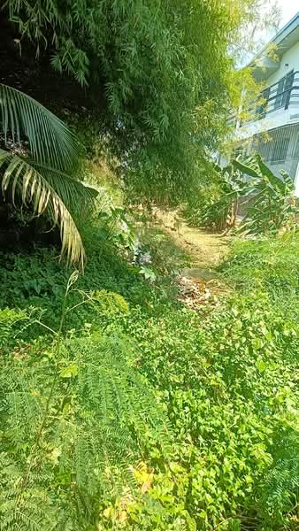 Land and 12 house Pattaya, Chon Buri (Pattaya), เทศบาล, Bang Lamung, Bang Lamung (Pattaya), Chon Buri (Pattaya), 10+ Bedrooms, 6,000 sqm, Villa For Sale, by แสงเดือน คงแนวดี, 500248261 - DDproperty.com