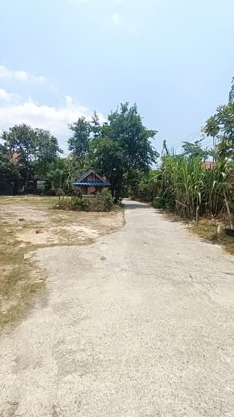 Land and 12 house Pattaya, Chon Buri (Pattaya), เทศบาล, Bang Lamung, Bang Lamung (Pattaya), Chon Buri (Pattaya), 10+ Bedrooms, 6,000 sqm, Villa For Sale, by แสงเดือน คงแนวดี, 500248261 - DDproperty.com