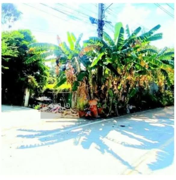 ให้เช่า - ให้เช่าที่ดินเปล่า 1 ไร่ ปากเกร็ด นนทบุรี ถมแล้วพร้อมใช้ ติดถนน 2 ด้าน เจ้าของให้เช่าเอง, นนทบุรี