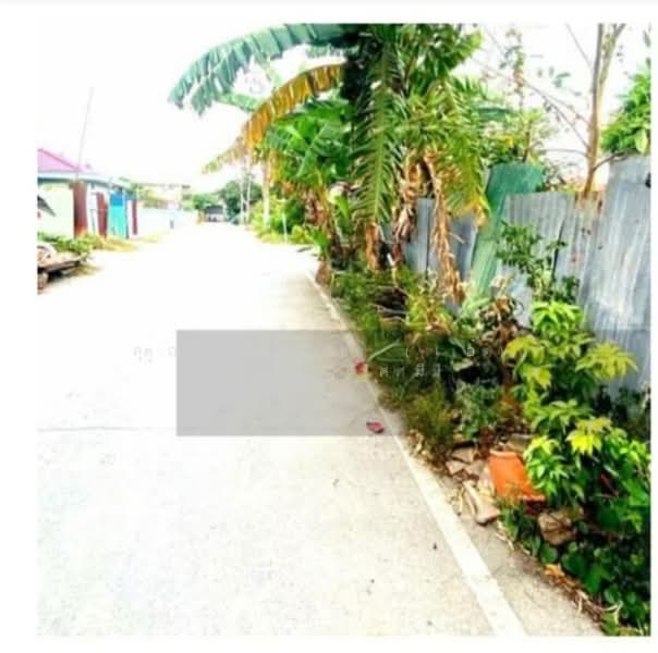 ให้เช่า - ให้เช่าที่ดินเปล่า 1 ไร่ ปากเกร็ด นนทบุรี ถมแล้วพร้อมใช้ ติดถนน 2 ด้าน เจ้าของให้เช่าเอง, นนทบุรี