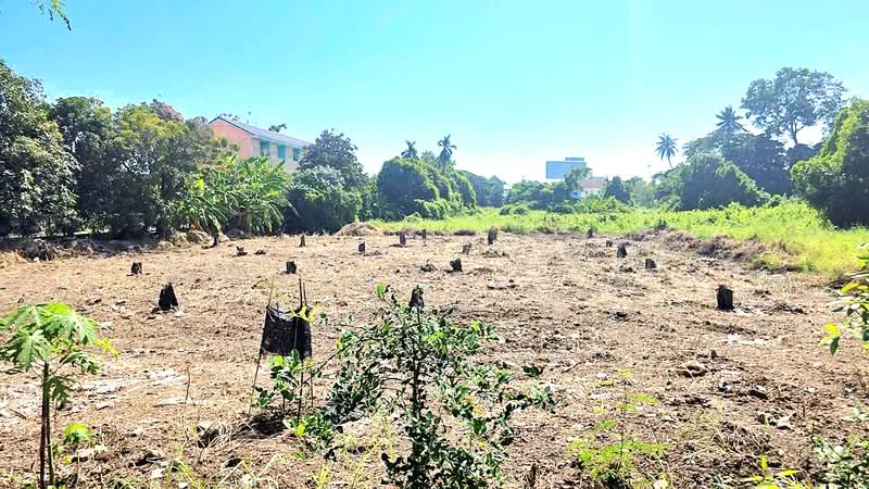 ให้เช่า - ให้เช่าที่ดินเปล่า 1 ไร่ ปากเกร็ด นนทบุรี ถมแล้วพร้อมใช้ ติดถนน 2 ด้าน เจ้าของให้เช่าเอง, นนทบุรี